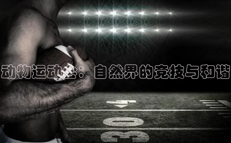 杏耀平台登录网址